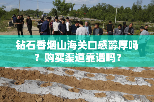 钻石香烟山海关口感醇厚吗？购买渠道靠谱吗？